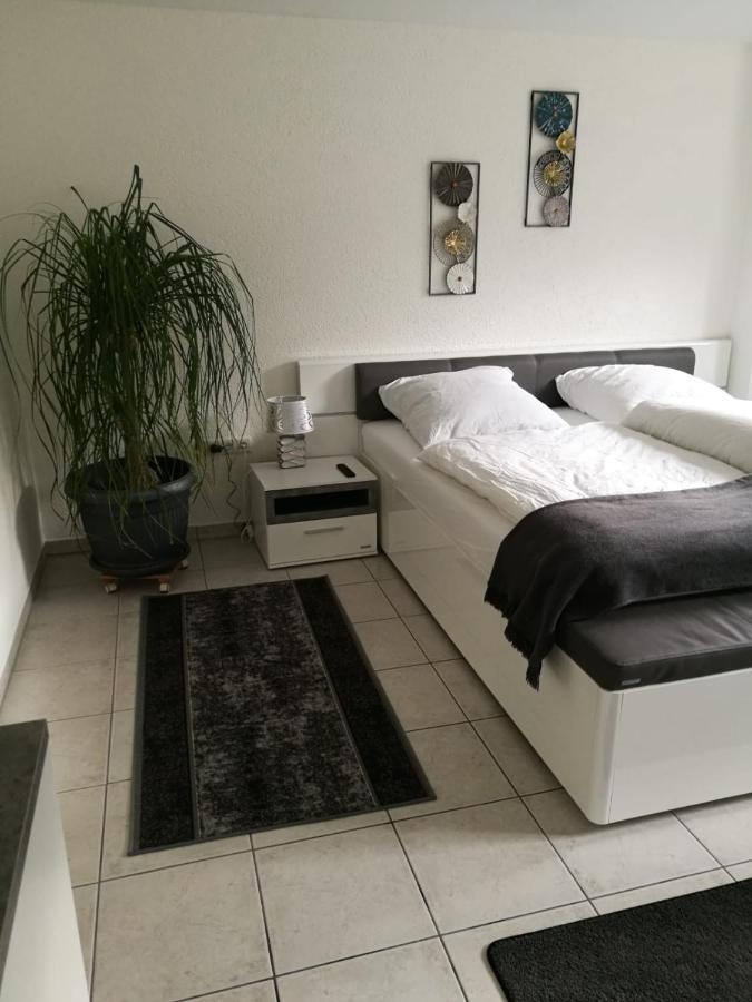 Ferienapartment "Vier Pfoten" In Korbach Zewnętrze zdjęcie